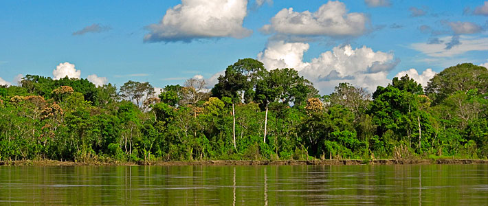 Amazonas