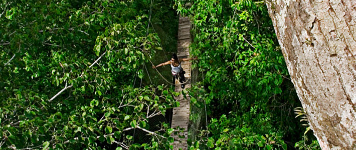 Amazonas